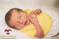 /album/galeria-nosso-bebe/digitalizar00008-jpg1/